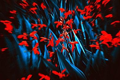 《博德之门3》新抢先体验版预告欢迎PS5玩家加入