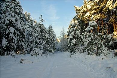 吃豆人打高尔夫！ 萌系画风高尔夫游戏《全民高尔夫：环球之旅》9月5日发售