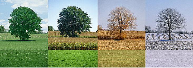 Insomniac的PS5多人游戏可能是一个新IP